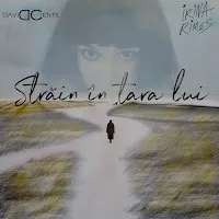 David Ciente — Străin În Țara Lui Ft Irina Rimes — обложка